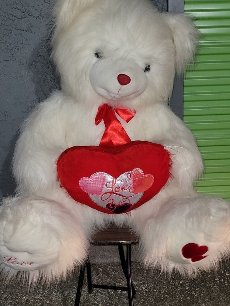 A Beautiful Giant Teddy Bear !! $20