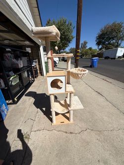 Cat trees