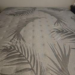 Sealy Posturepedic Plus - Firm