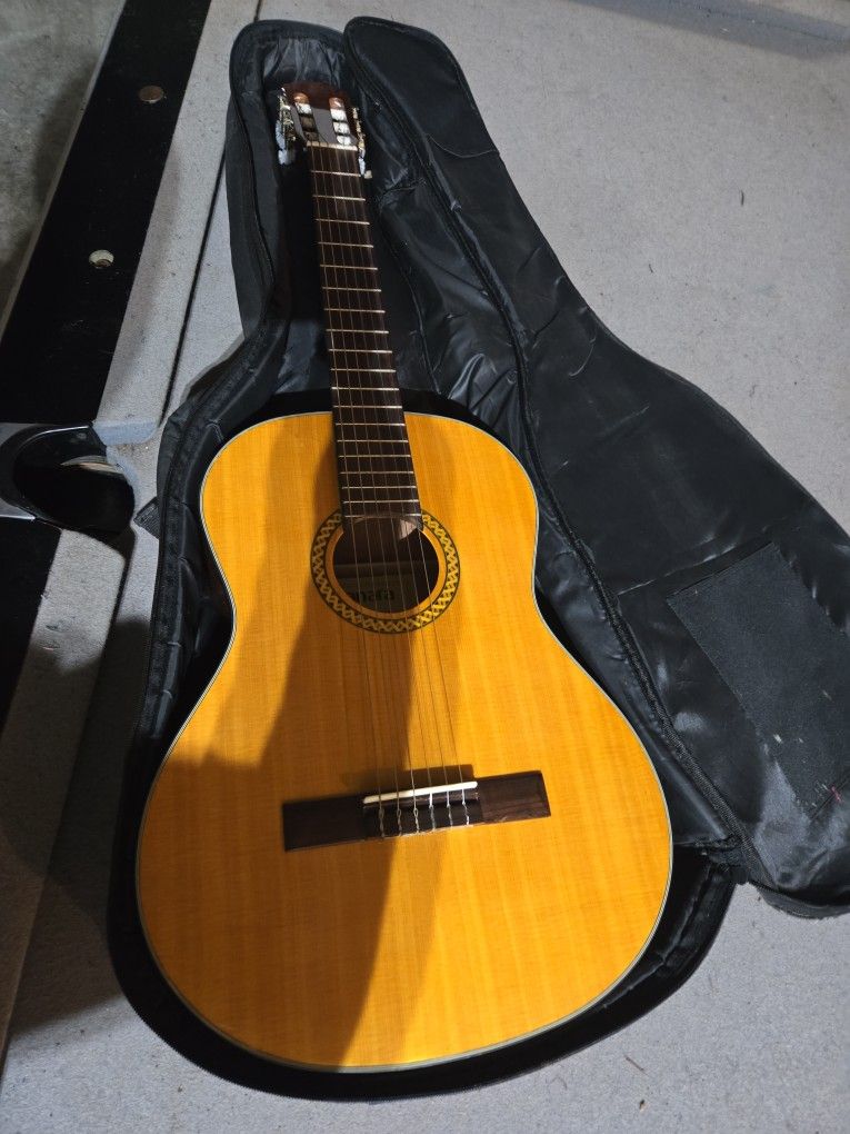 Acoustic Guitar And Case
