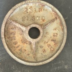Weighted Plates 