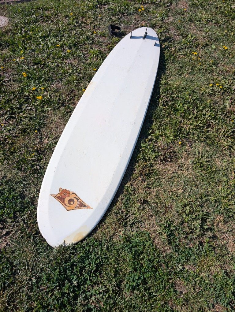 Surfboard Nsp Epoxy Beginner Longboard