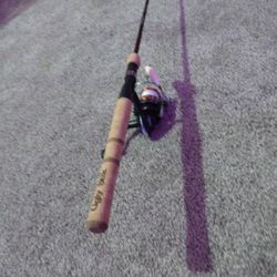 Grid Stick Reel And Ugly Stick Pole