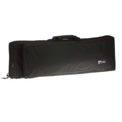 Case