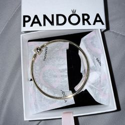 Limited Edition 14k Pandora Bracelet 