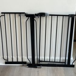 Gate With Door