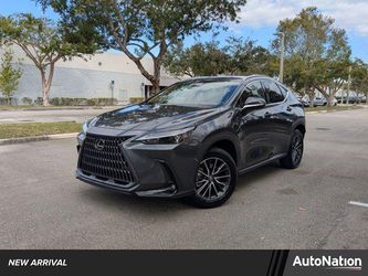 2025 Lexus NX 250