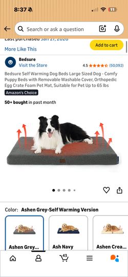 Dog Bed
