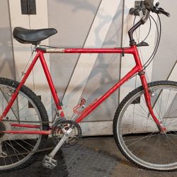 Schwinn Cimarron