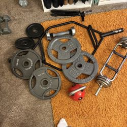 Assorted Weights With Trap bar 
