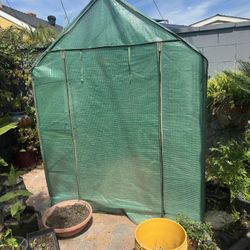 Green House 