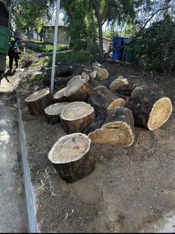 Free Wood Available Riverside ASAP Curbside Pick Up