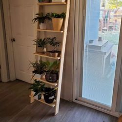 Wooden Planter Ladder 
