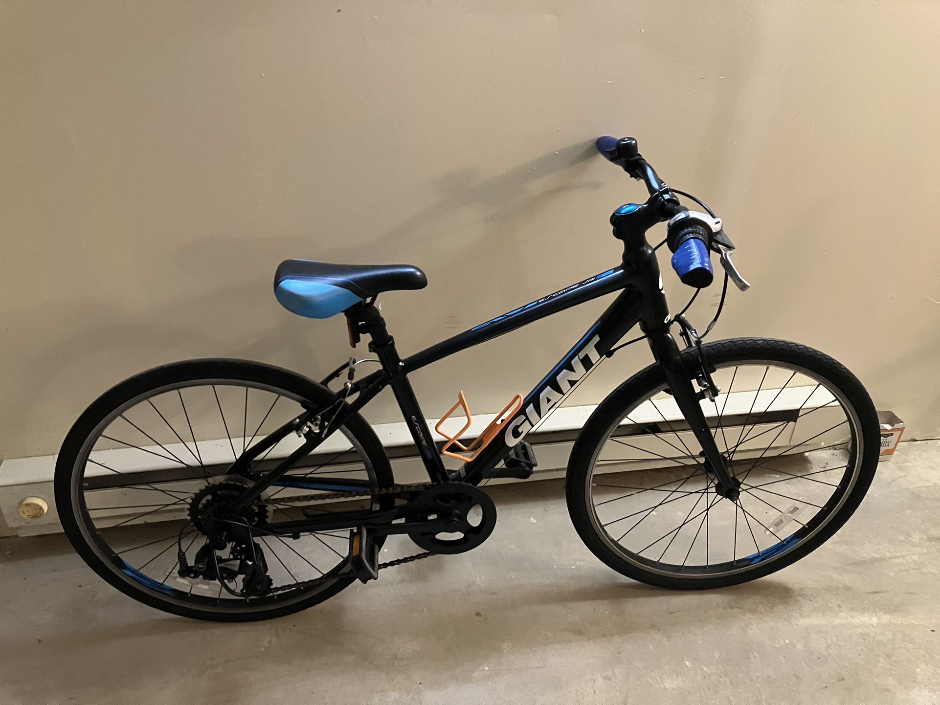 24 Inch Giant Escape JR