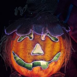Vintage. Pumpkin Glow