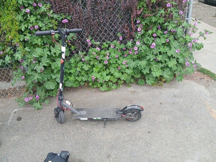 Hilboy Electric Scooter