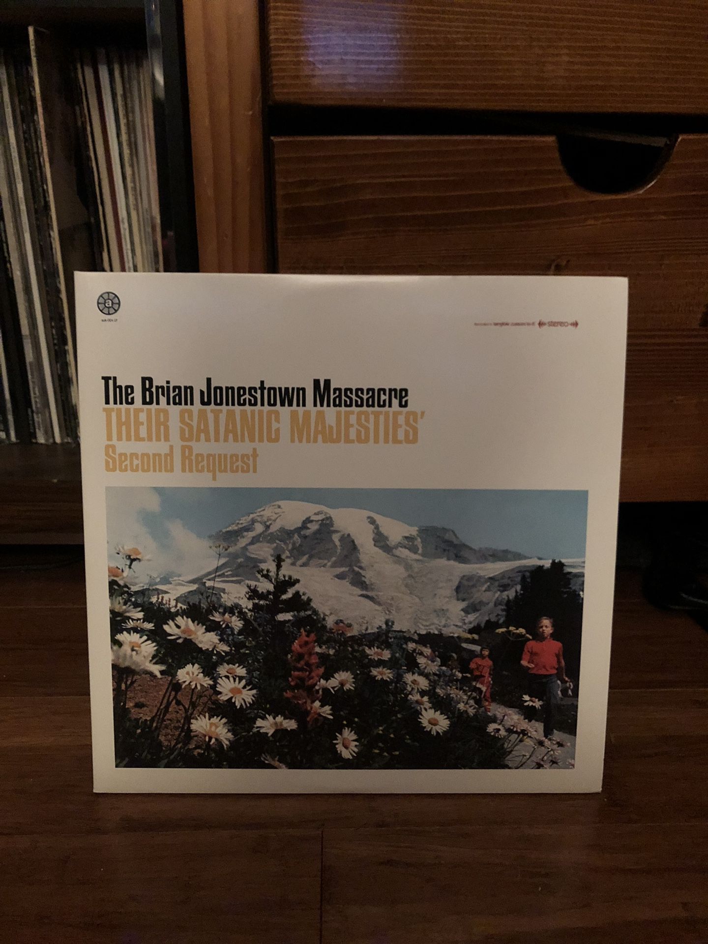 Brian Jonestown Massacre Vinyl
