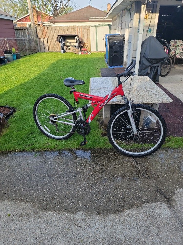 Adult Bike 20inch