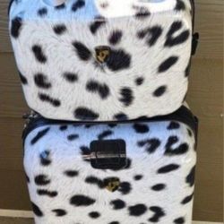 Stylish 2 piece luggage set.