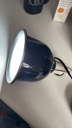 Reptile UVB Lamp with Lightbulb