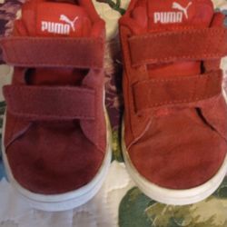 Puma 11 C