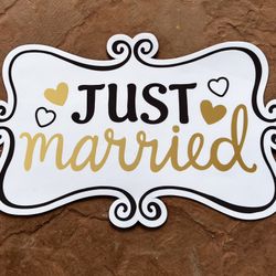 Just Married Car Sign 
