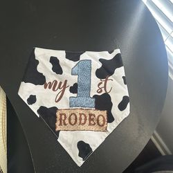 my first rodeo birthday decorations 
