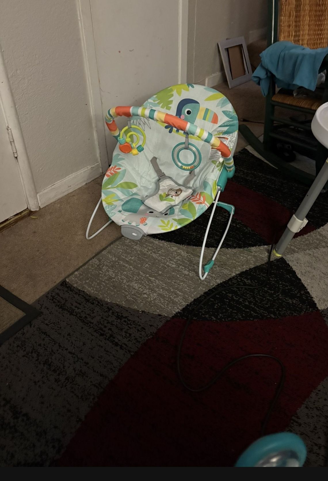 Baby Bouncer