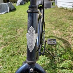 Electric  Beach Cruiser 