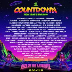 Countdown NYE Festival
