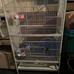 Bird Cage
