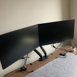 Dual Monitors with mount