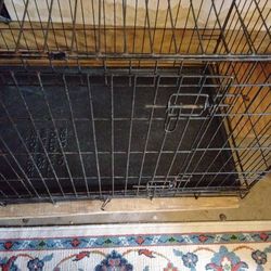 Dog Kennel