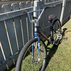 Throne Cycles Ethika Goon Apex Jungle V2 29” BMX Bike