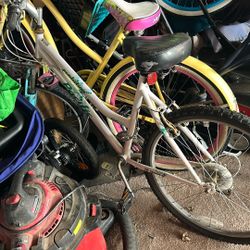 Revolution Bike