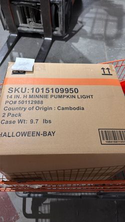 Mickey and Minnie pumpkins