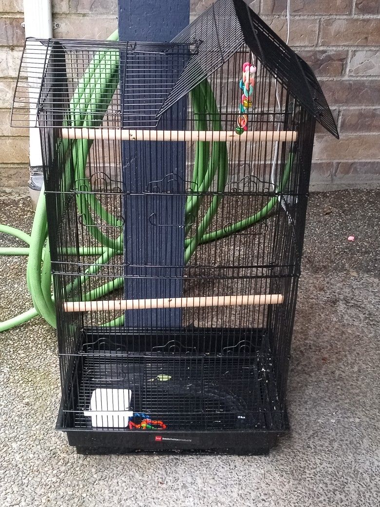Bird Cage