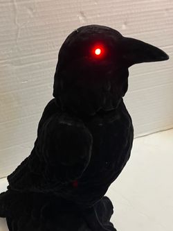 Halloween Ashland Raven animatronic 12 in