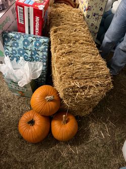 Free Hay and Pumpkins