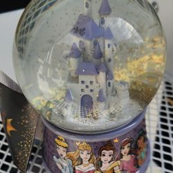 Disney Princess Snowglobe 