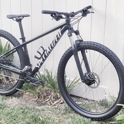 Specialized Rockhopper 29.5
