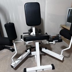 Parabody abductor/adductor machine with weights
