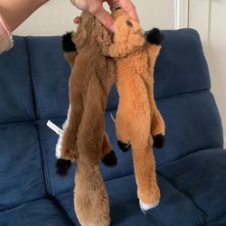 Free Pet Toy