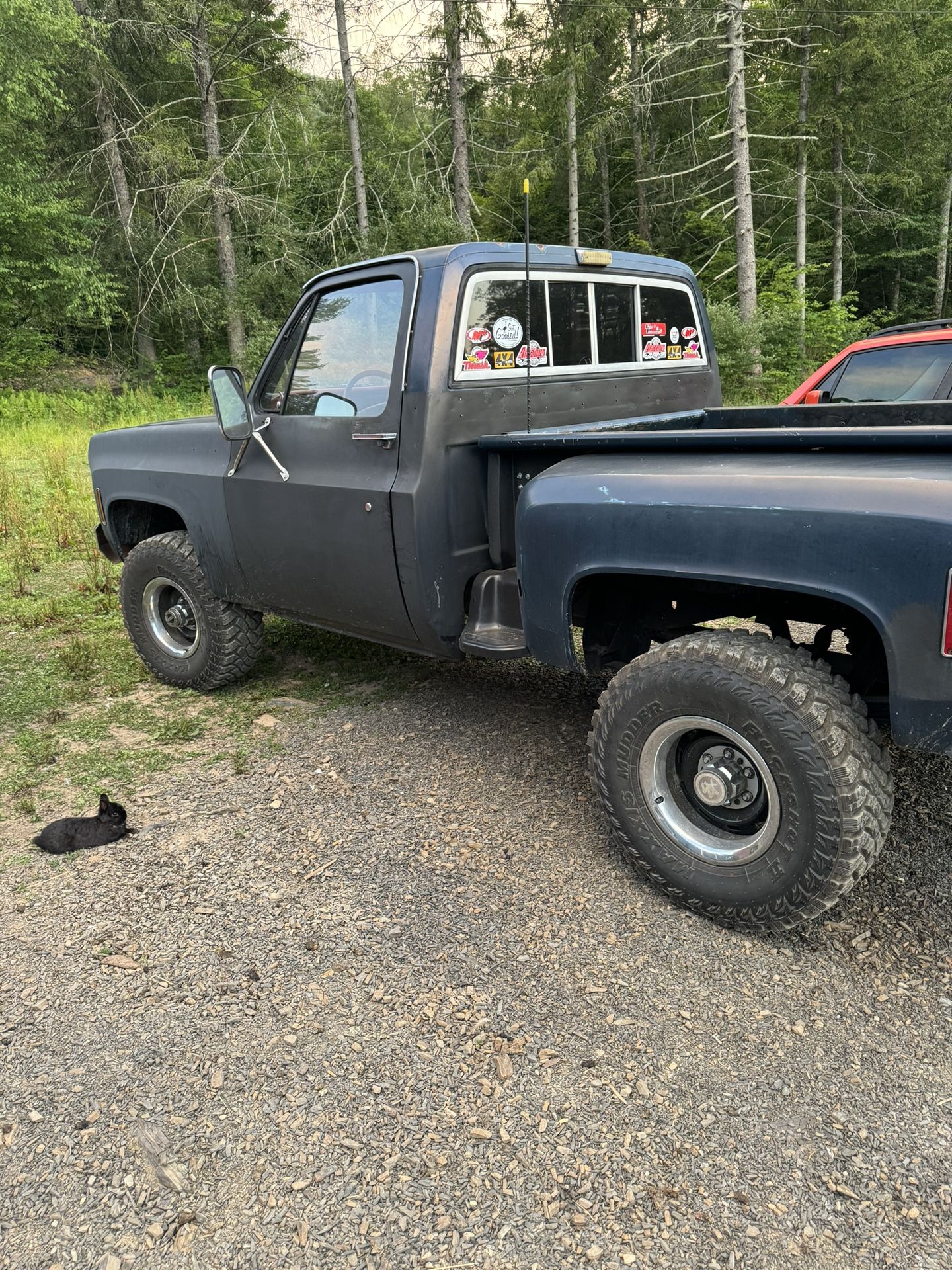1977 Chevy C10 Step side