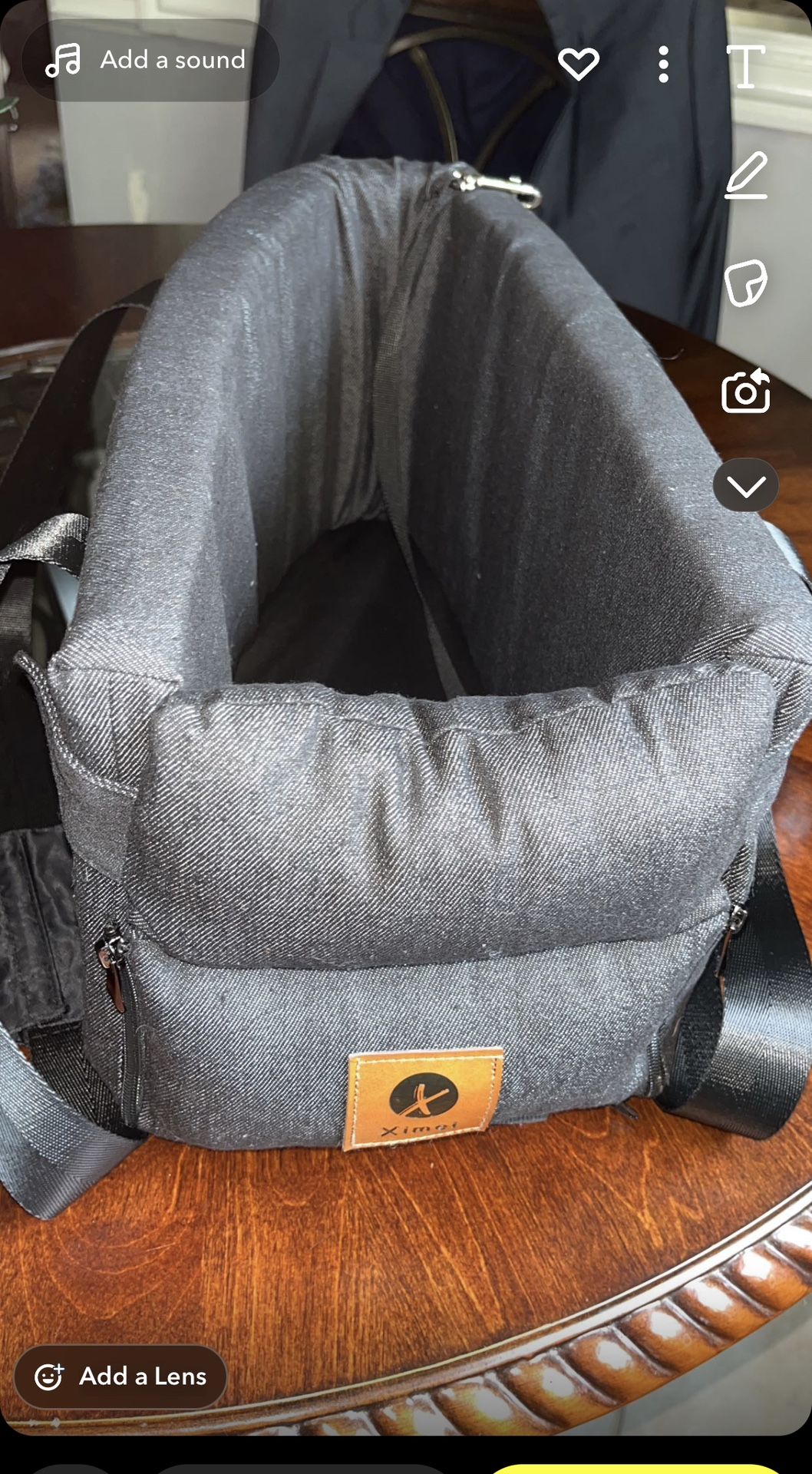Console Dog car seat
