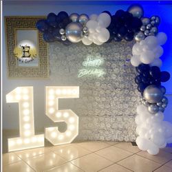 Balloon Decor Backdrops