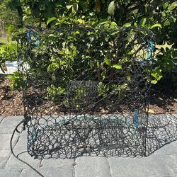 Black Crab Net