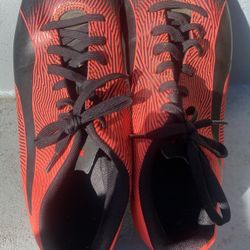Puma Soccer Shoe