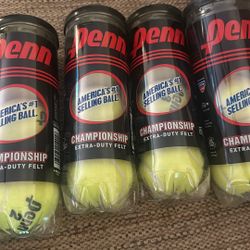 New Penn Championship Tennis Balls