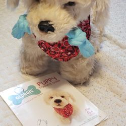 Gergie Puppy Training